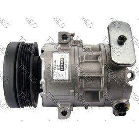 Acquista Compressore aria condizionata da TEAMEC 8629818 a buon mercato per soli 216,97 €