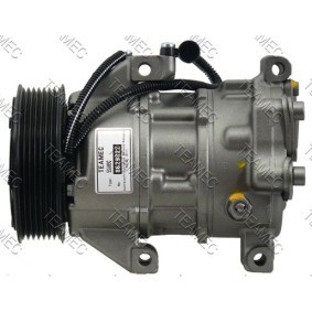 Acquista Compressore aria condizionata da TEAMEC 8629822 a buon mercato per soli 321,02 €