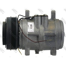 Acquista Compressore aria condizionata da TEAMEC 8630512 a buon mercato per soli 275,72 €