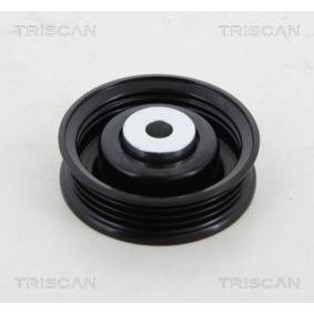 Comprar Polea inversión / guía, correa poli V de TRISCAN 8641 692005 a bajo precio de 84,65 €