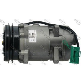 Acquista Compressore aria condizionata da TEAMEC 8641551 a buon mercato per soli 183,61 €