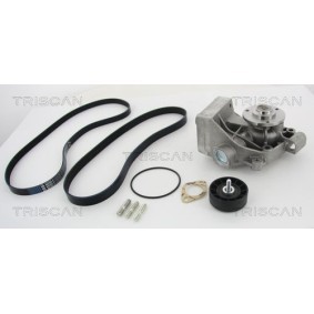 Achetez des Pompe à eau+Jeu de courroie trapézoïdale à nervures TRISCAN 8642 100500 à prix pour 330,20 €