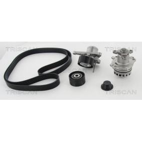 Achetez des Pompe à eau+Jeu de courroie trapézoïdale à nervures TRISCAN 8642 100506 à prix pour 272,39 €