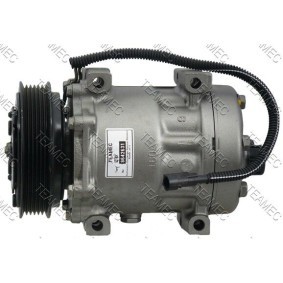 Acquista Compressore aria condizionata da TEAMEC 8642631 a buon mercato per soli 193,52 €