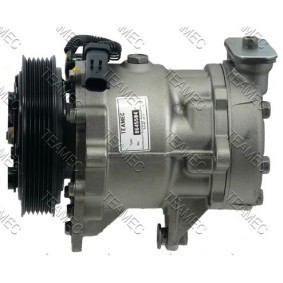 Acquista Compressore aria condizionata da TEAMEC 8645504 a buon mercato per soli 197,50 €