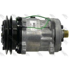 Acquista Compressore aria condizionata da TEAMEC 8645617 a buon mercato per soli 189,24 €