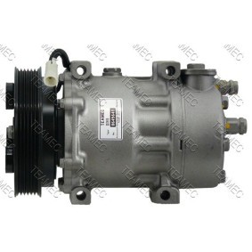 Acquista Compressore aria condizionata da TEAMEC 8645641 a buon mercato per soli 197,50 €