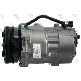 Acquista Compressore aria condizionata da TEAMEC 8646006 a buon mercato per soli 191,57 €