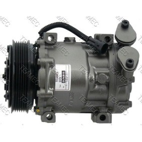 Acquista Compressore aria condizionata da TEAMEC 8646016 a buon mercato per soli 197,50 €