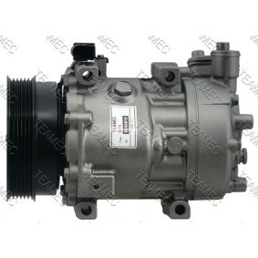 Acquista Compressore aria condizionata da TEAMEC 8646018 a buon mercato per soli 177,89 €