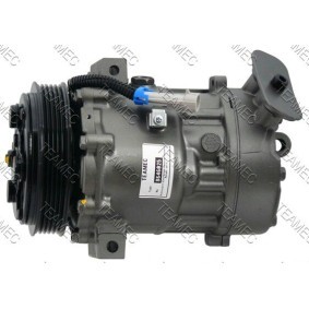 Acquista Compressore aria condizionata da TEAMEC 8646025 a buon mercato per soli 197,50 €