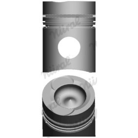 Achetez des Piston NÜRAL 87-405600-70 à prix pour 317,81 €