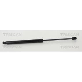 Heckklappendämpfer von TRISCAN