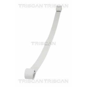 Federpaket von TRISCAN