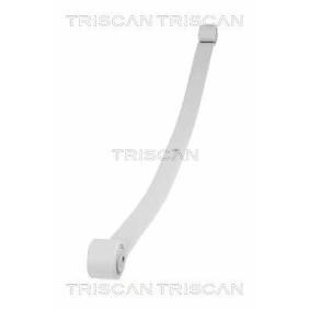 Federpaket von TRISCAN