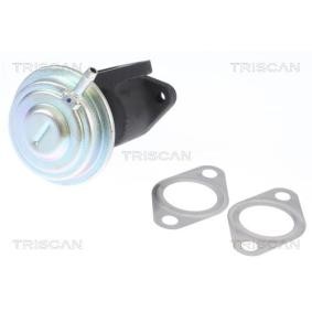 Acquista Valvola EGR da TRISCAN 8813 29016 a buon mercato per soli 99,09 €