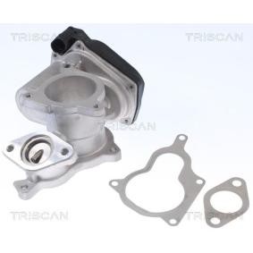Acquista Valvola EGR da TRISCAN 8813 29019 a buon mercato per soli 131,09 €