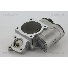 Acquista Valvola EGR da TRISCAN 8813 29028 a buon mercato per soli 162,86 €
