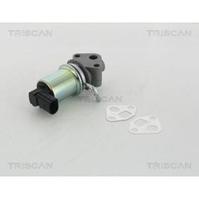 AGR-Ventil 8813 29049