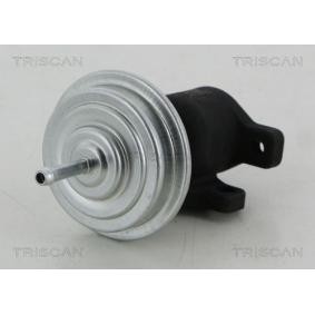 Acquista Valvola EGR da TRISCAN 8813 29053 a buon mercato per soli 66,28 €