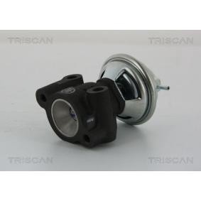 AGR-Ventil 8813 43014