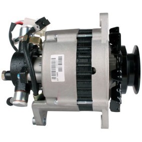 Lichtmaschine 89213539