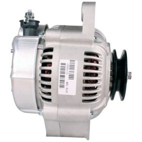 Lichtmaschine 89213913