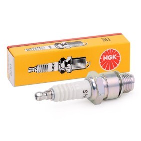 Zündkerze 4210