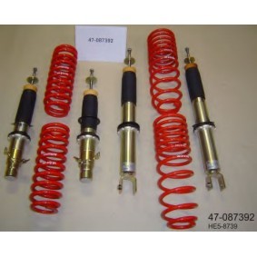 Stoßdämpfer-Komplettsatz mit Federn 47-087392 von BILSTEIN günstig für 1526,04 € online kaufen