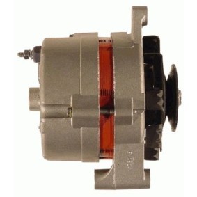 Lichtmaschine von ROTOVIS Automotive Electrics