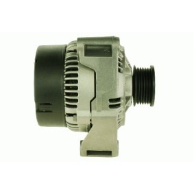 Lichtmaschine von ROTOVIS Automotive Electrics