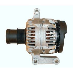 Lichtmaschine von ROTOVIS Automotive Electrics