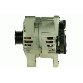 Lichtmaschine von ROTOVIS Automotive Electrics