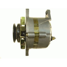 Lichtmaschine von ROTOVIS Automotive Electrics