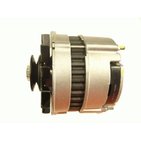 Lichtmaschine 9066461