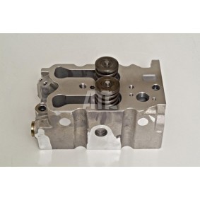 Zylinderkopf 908185K