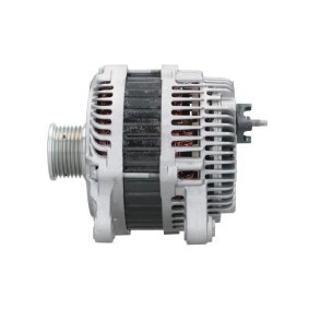 Lichtmaschine von ROTOVIS Automotive Electrics