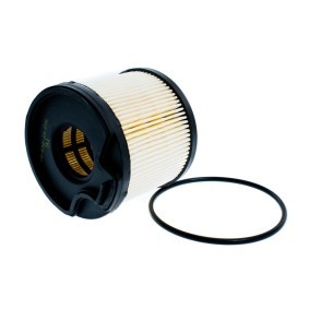 Achetez des Filtre à carburant de chez MASTER-SPORT en ligne pour 307 SW Van / Break (3E, 3H) à prix modérés