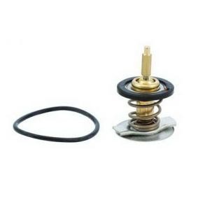 Comprar Termostato, refrigerante de SIDAT 94.739 a bajo precio de 29,36 €