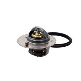 Comprar Termostato, refrigerante de FISPA 94.791 a bajo precio de 22,49 €
