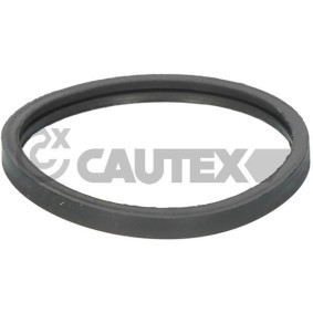 Achetez des Joint d'étanchéité, thermostat CAUTEX 955241 à prix pour 7,13 €