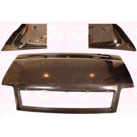 Motorhaube 9562280