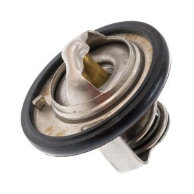 Køb Termostat, kølemiddel af MASTER-SPORT 96610574-PCS-MS til den lave pris 48,01 DKK