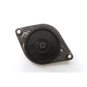 Achetez des Pompe à eau de chez GK en ligne pour RAM 2500 Crew Cab Pick-up (DJ) à prix modérés