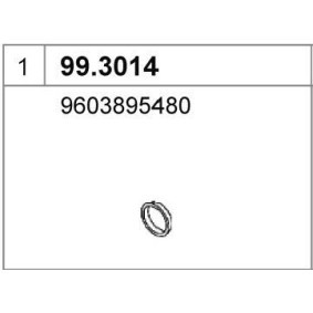 Dichtring, Abgasrohr 99.3014