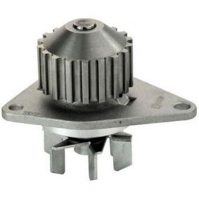 Achetez des Pompe à eau DENCKERMANN A310129P à prix pour 34,02 €