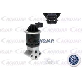 Comprar Válvula EGR de ACKOJA A51-63-0002 a bajo precio de 135,51 €