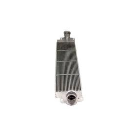Achetez des Intercooler MAXGEAR AC694819 à prix pour 166,76 €