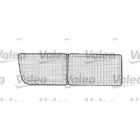 Achetez des Disperseur, feu latéral VALEO 085394 à prix pour 26,15 €