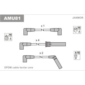 Zündleitungssatz AMU81